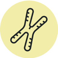 chromosome icon