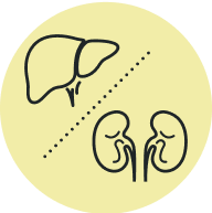 Glycogen buildup and metabolic instability icon