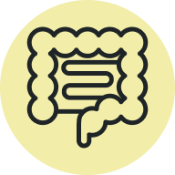 Intestines icon